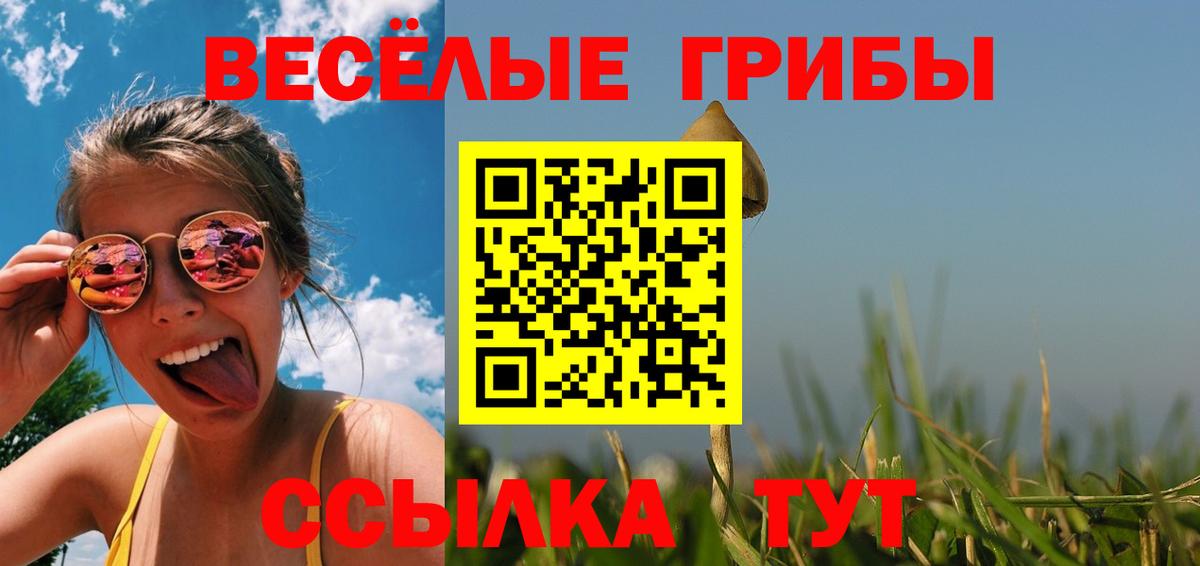 наркотики  Вход с VPN  Кемерово  Псилоцибиновые грибы мицелий 